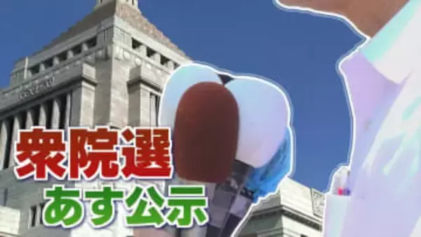 【衆議院議員選挙】『今回は票が読めない』　衆議院選挙のポイントは？　記者が解説　山梨