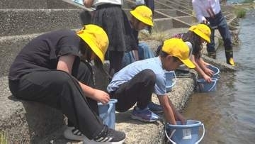 「5mくらいになってほしい」児童がアユの稚魚を放流　アユ釣りが解禁は来月20日　山梨・笛吹川