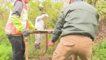 畑にクマのものと見られるフン　付近に全長2m 高さ1mの箱わな設置　市は一人で出歩かないなど注意呼び掛け　山梨・甲州市