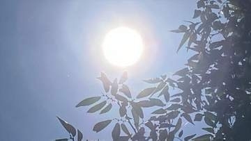 「サウナみたい」「熱中症が怖い」甲府など４地点で真夏日　予想最高気温は甲府33度、河口湖28度