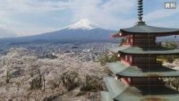 「多すぎますね」富士山と五重塔望む公園で桜シーズン　展望デッキは最大3時間待ち　オーバーツーリズム対策で祭り中止でも混雑　山梨・新倉山浅間公園