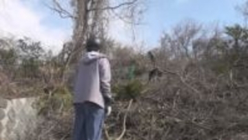 「もっといい農業や日本社会の在り方に」　ワイン醸造家の耕作放棄地再生プロジェクトが本格スタート　山梨市