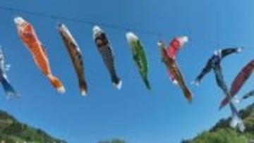 少子化でこいのぼりの寄付が減少　35年続く祭りの存続へ　実行委員会がクラウドファンディングで協力求める　山梨・北杜市