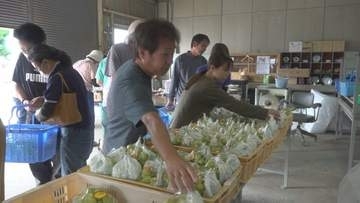 高校生が実習で育てた野菜の苗やブドウを販売　シャインマスカットとピオーネ　225房が1時間半ほどで完売