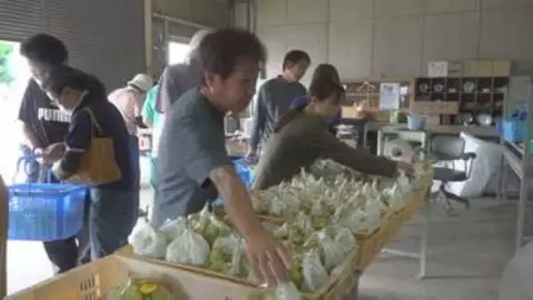 高校生が実習で育てた野菜の苗やブドウを販売　シャインマスカットとピオーネ　225房が1時間半ほどで完売