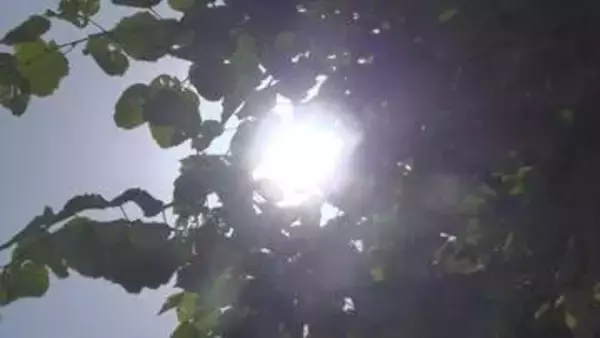 すでに30度を超える真夏日　大月が30.4度、河口湖が28.3度　熱中症に注意　山梨