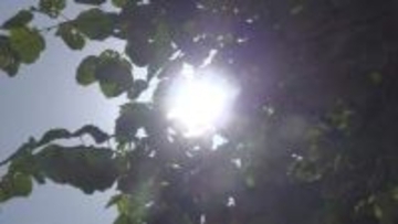 すでに30度を超える真夏日　大月が30.4度、河口湖が28.3度　熱中症に注意　山梨