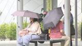 「「あまりにも今年は暑い」甲府は29.6度　7月上旬並みの暑さ　熱中症の疑いで1人搬送　山梨」の画像1