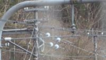 「サルのような動物が架線に」送電線に接触、感電　一時上下線で運転見合わせ　特急など7本が運休　JR中央線