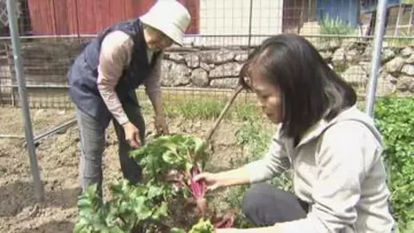 「みんなが集まる場所を作りたかった」カラフルな西洋野菜が売りのカフェ　栽培するのは地元のおばあちゃんたち　山梨・身延町