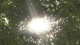 「8地点で夏日　昨日より10度以上高くなった場所も　この時期は暑さに慣れていないため熱中症に注意　山梨」の画像1