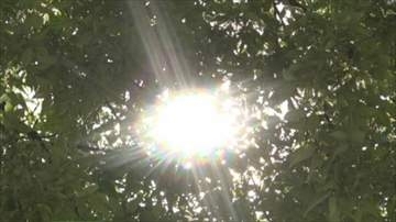 8地点で夏日　昨日より10度以上高くなった場所も　この時期は暑さに慣れていないため熱中症に注意　山梨