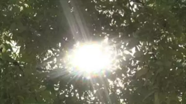 8地点で夏日　昨日より10度以上高くなった場所も　この時期は暑さに慣れていないため熱中症に注意　山梨