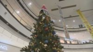 「すごくキレイ」　ショッピングモールに早くもクリスマスツリーが点灯　山梨・イオンモール甲府昭和
