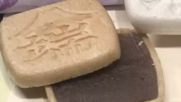 「和菓子屋というか あんこ屋」皮をとり手作業でこす こだわり“あんこ”　創業130年余りの老舗が守る味と挑戦　山梨・御菓子司すがや