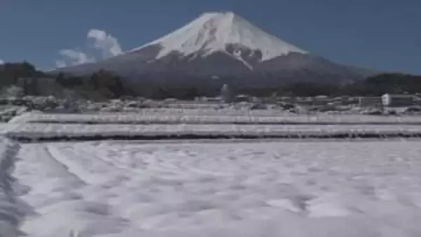 県内は3日から雨や雪　山中湖で最大20㎝の積雪　大雪の可能性は低くなるも、積雪がある場所は路面の凍結に注意　山梨