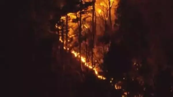 山林火災　火はもっとも近い住宅までおよそ50メートルに迫る　ほこら周辺が火元で延焼か　山梨・上野原市の扇山