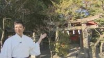 「嫌でも入る」「羽化る」「落ちない」　学業成就の神社にユニークお守り　合格パワースポット