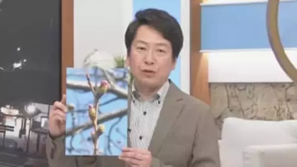あすスッキリせず、ヒンヤリ　甲府の桜の開花予想は？　米津龍一気象予報士が解説