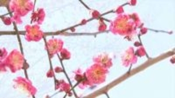 JR中央線があすからの特急など計21本の運休を発表　一部地域で積雪の見込みで　山梨