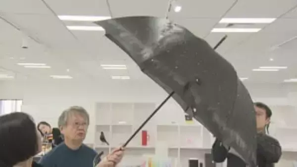 地域の魅力を伝える『山梨デザインセレクション2025』　82点を最終選考　表彰は来年1月