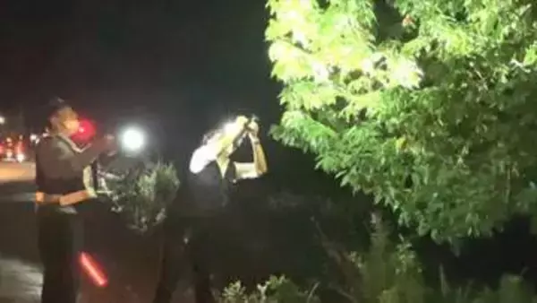 「サクランボをむしり取っていたような感じ」畑から30個を盗んだ疑い　54歳の男を逮捕　山梨