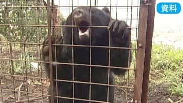 「緊急銃猟」　マニュアルを作成し訓練へ　クマ対策で市町村会議　山梨