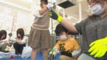 親子でミニトマトの栽培体験　6月下旬に収穫予定　山梨