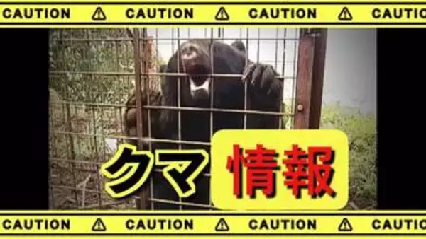 【クマ情報】クマと思われる動物　国道で目撃　体長１ｍぐらい　市が注意を呼び掛け　甲府市