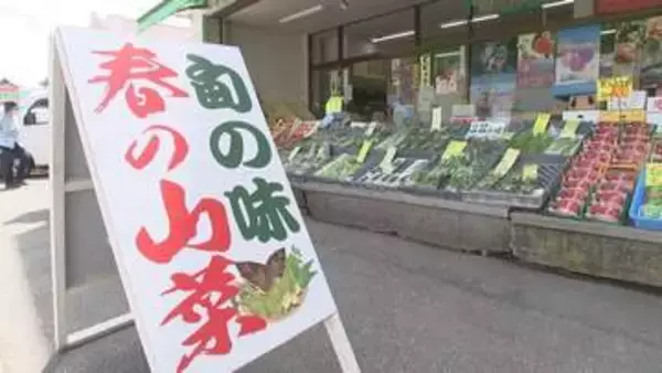 「ある程度の価格が下がってきている」春キャベツや新タマネギなど　春の新モノ野菜が家計の味方に