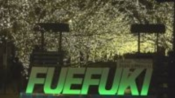 「長く続くきれいな空間が最高」　温泉街でイルミネーション　川沿い1.5キロを55万球のライトが彩る　山梨・石和温泉街