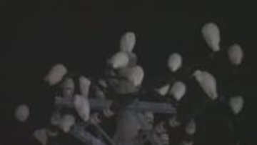 「夜だけ一番安全な場所を求めて移動」白い鳥が大量飛来　近隣店舗はフンに悩む　その正体はコサギ