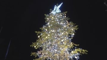 防災公園にイルミネーション　高さ4メートルの赤エゾマツや公園を囲むフェンスが鮮やかに輝く　山梨