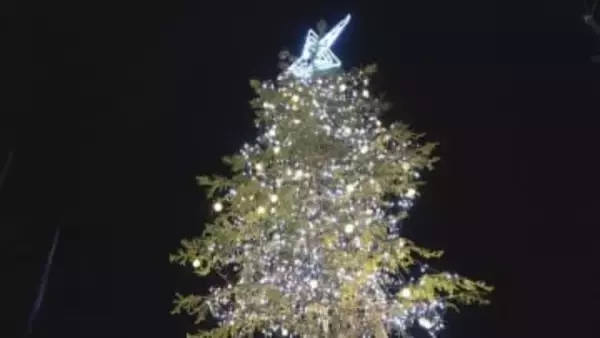 防災公園にイルミネーション　高さ4メートルの赤エゾマツや公園を囲むフェンスが鮮やかに輝く　山梨