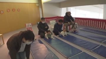 赤ちゃんのハイハイレースに大声コンテストも　お正月を楽しむ子どもイベント　山梨・北杜市
