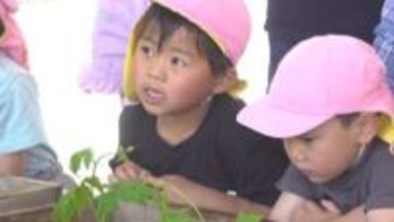 保育園児が緑のカーテンづくり　ゴーヤやアサガオの苗を植える　山梨市役所