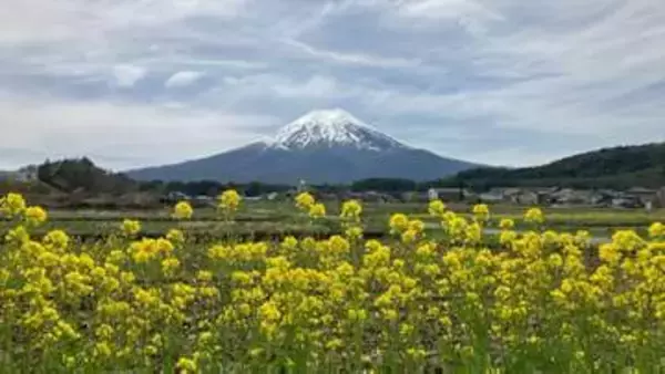 【速報】富士山に「農鳥」　例年より一足早く