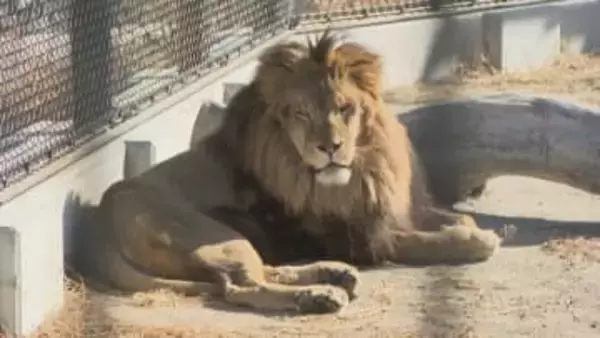 【ニュースのその後】今夏は記録的な暑さ　一転…冬を迎えた動物園の動物たちは今　リニューアルした獣舎の一部も紹介　山梨・甲府市立動物園