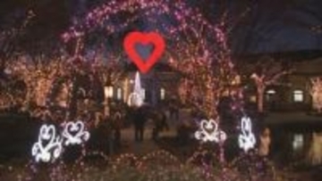 温かい光の世界が広がる　勝沼庭園のイルミネーション　甲州市・ハーブ庭園旅日記