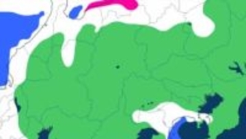 【大雪情報・関東甲信】21日夜遅く～22日昼前、24日～25日頃　大雪となる所が　警報級の可能性も　神奈川県西部の平地で３センチ予想　【大雪と雨のシミュレーション】