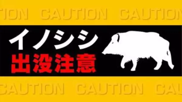 イノシシの親子か　大小2頭を目撃　9日に目撃されたブドウ畑近く　市が注意を呼び掛け　山梨・甲州市