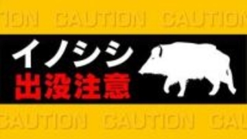 イノシシの親子か　大小2頭を目撃　9日に目撃されたブドウ畑近く　市が注意を呼び掛け　山梨・甲州市