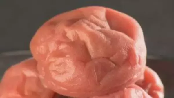 「国産梅の底力を感じる仕上がり」と評価　金賞受賞の梅干し　高価な南高梅を手軽に楽しんでほしいと開発　山梨・ヨネヤマ