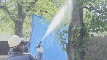 「限られた時間になるので県一体で進めていければ」　クビアカツヤカミキリ対策　県有施設のサクラ約1万5000本の薬剤散布始まる　山梨