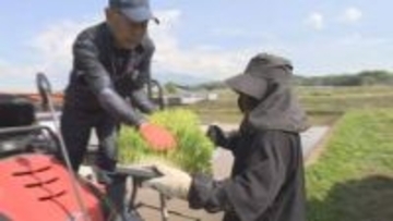 田植え始まる　コメ価格は徐々に値下がり　農産物直売所は「コメ離れという認識はない」