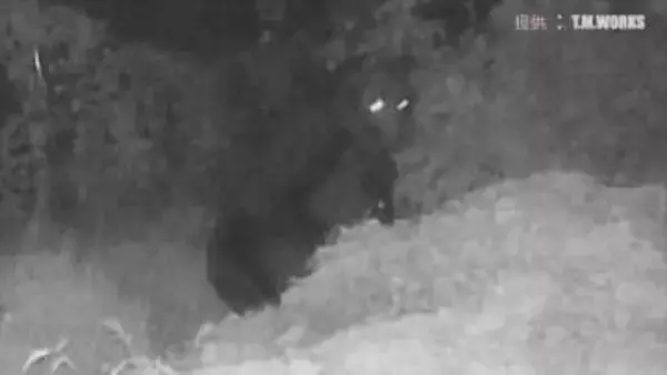 「昨年に比べ4～5倍の問い合わせ」　クマ同士が喧嘩する声に似た低周波で撃退　『くまドン』車の部品製造会社が開発　山梨