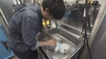 「フワフワ感が伝わってきた」　“ぬい活”ブームはクリーニング店にも　海外を含め年間1万体超をきれいに　山梨