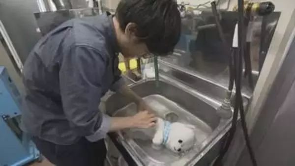 「フワフワ感が伝わってきた」　“ぬい活”ブームはクリーニング店にも　海外を含め年間1万体超をきれいに　山梨