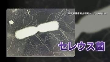 “チャーハン症候群”に注意　味やにおいに変化がない食中毒　加熱しても死滅しないセレウス菌の有効な予防法は　山梨