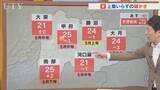 「29日は雲が広がるも気温高めでムシムシした体感に　GW最新天気見通しも含め　米津龍一気象予報士が解説　山梨」の画像1